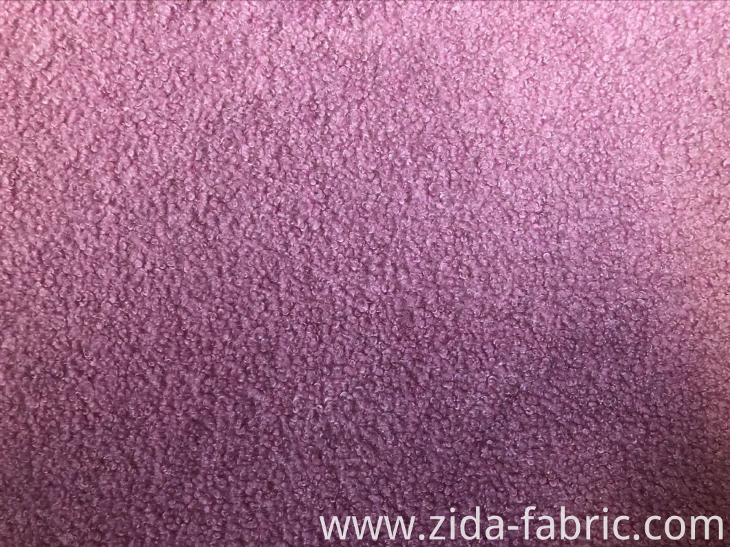 100%Polyester Taddy Fleece Knitted Fabric
